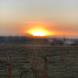 Meet your Posher, Darlene